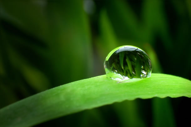 Reiki di Primo Livello: consigli Pratici per Trattamenti Reiki di Ferite e Fratture