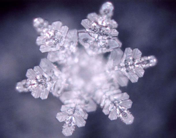 Reiki Info presenta un meraviglioso cristallo d'acqua fotografato da Masaru Emoto