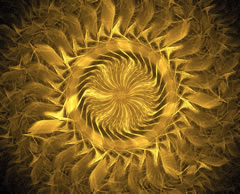 Reiki Pratico di Primo Livello: Trattamento Reiki Completo - Guida alle possibili posizioni libere e intuitive nei Trattamenti Reiki