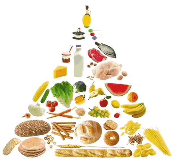 IL TRATTAMENTO REIKI DEL CIBO, DEGLI ALIMENTI: UN ALIMENTAZIONE CURATA CON SAGGEZZA ED ENERGIA