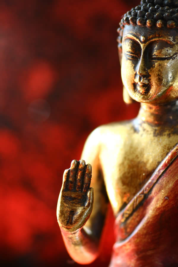 Libri Reiki interessanti e utili per la pratica del Metodo di Mikao Usui