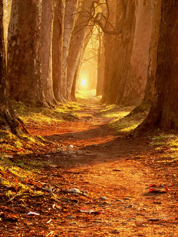 Reiki Info presenta Libri Spirituali per accendere l'Anima, percorsi di risveglio dello spirito, crescita evolutiva