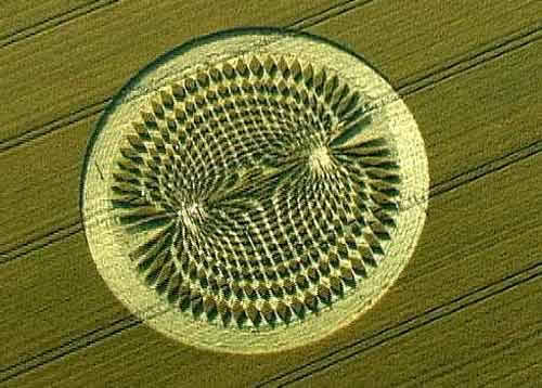 Esempio di Crop Circle - Cerchio nel Grano