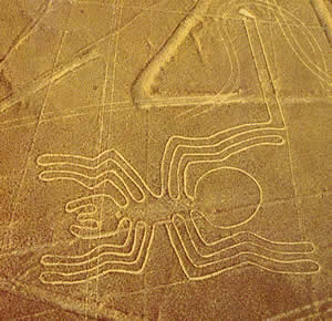 Il ragno di Nazca