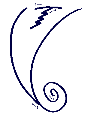 Other version of Dumo, the tibetan Dai Ko Mio