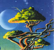 Reiki come via di crescita nella Scuola Free Reiki