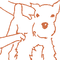 Reiki ai cani