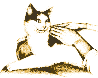 Reiki agli animali