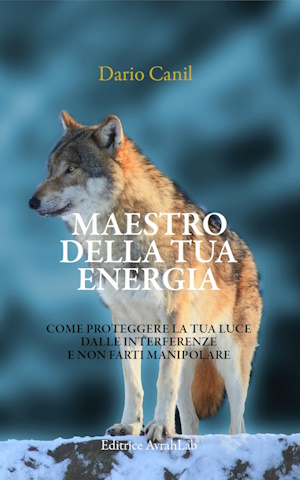 Dario Canil, libro Manuale di sopravvivenza energetica - Dario Canil: insegnante di Reiki e Sciamanismo, scrittore, ricercatore dello spirito, psicologo. In Veneto, seminari Reiki tra Padova, Vicenza, Treviso, Venezia, Verona, Bassano del Grappa, Rovigo, Belluno, Bologna, Pordenone, Trento
