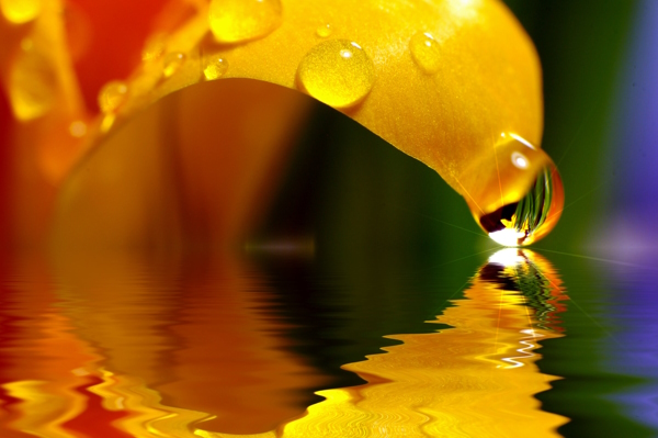 Dal 1997 Dario Canil conduce Semninari di Reiki e di Sciamansimo tra Padova e Venezia, vicino Vicenza, Treviso, Rovigo, Verona. Reiki originale Usui.