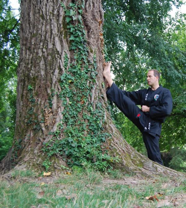 Scalare un albero. In Veneto, seminari Reiki tra Padova, Vicenza, Treviso, Venezia, Verona, Bassano del Grappa, Rovigo e Belluno