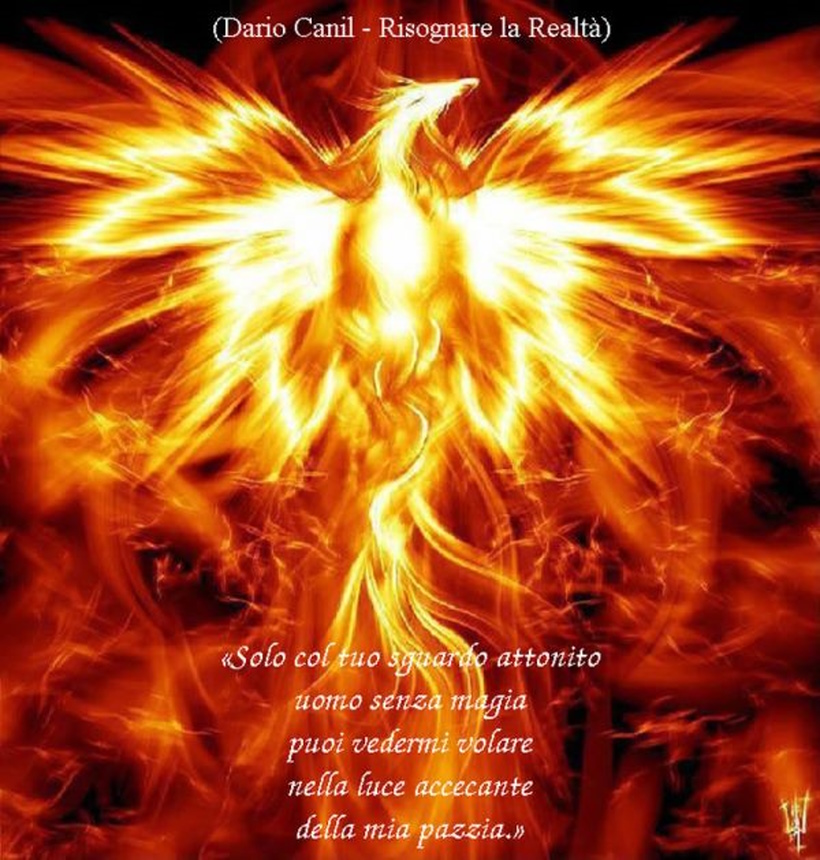 Dario Canil, Reiki Master, insegnante di Sciamanismo, scrittore, psicologo, ricercatore spirituale.  Vicino Padova Seminari e corsi di Reiki e di Sciamanismo