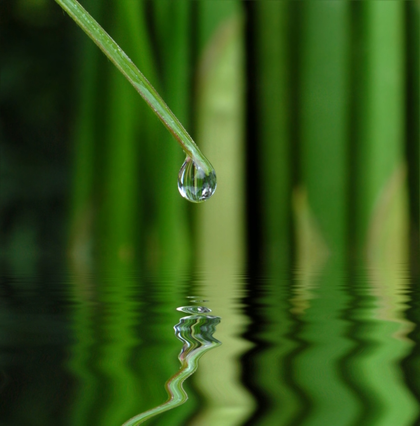 Vicino Bassano del Grappa Seminari e corsi di Reiki e di Sciamanismo