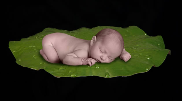 il bambino non ucciderebbe per amngiare carne