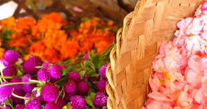 Tipici fiori vietnamiti