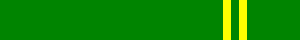 Cintura verde seconda striscia gialla: equivalente al II CAP