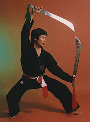 Maestro Bao Lang in una forma (Quyen) con Armi Tradizionali