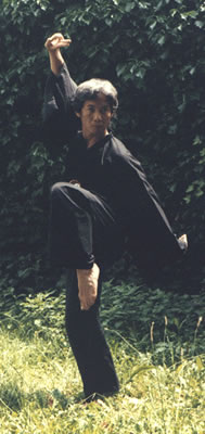 Maestro Bao Lan