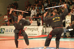 Combattimento con spade