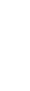 Scritta Viet Vo Dao