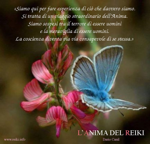 Aforismi e citazioni di Dario Canil, insegnante di Reiki.