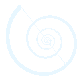 Reiki e la continuità dell'impegno. la forza del rituale. Seminari di Reiki e di Sciamanismo vicino Vicenza, Rovigo, Treviso, Ferrara e Bassano del Grappa. Reiki con professionalità.