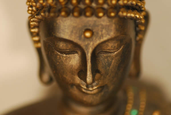 Trattamenti Reiki come via di riconnessione al momento presente: l'atto del Percepire piuttosto che giudicare. Seminari di Reiki e di Sciamanismo vicino Vicenza, Rovigo, Treviso, Ferrara e Bassano del Grappa. Reiki con professionalità.