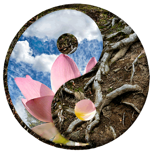 Meditazioni Reiki e l'Autocritica Rivalutativa: l'Arte Taoista del Ridere di Sé. Meditazioni Reiki: tra Padova, Treviso e Venezia seminari e corsi di Reiki dal 1997.