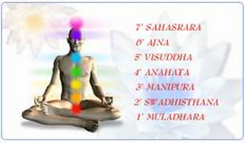 Reiki Info: Nomi in sanscrito dei centri energetici CHAKRA. Padova Reiki.