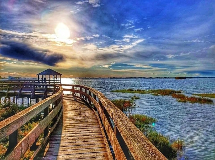 Il Giardino Botanico Litoraneo di Porto Caleri nel Delta del Po.