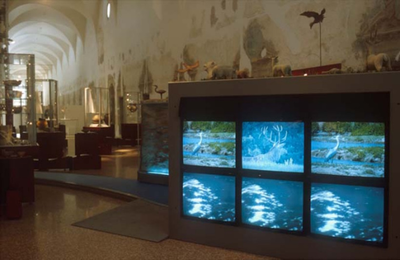 Ricostruzione di un abitat antico del polesine. Il Museo dei Grandi Fiumi di Rovigo.