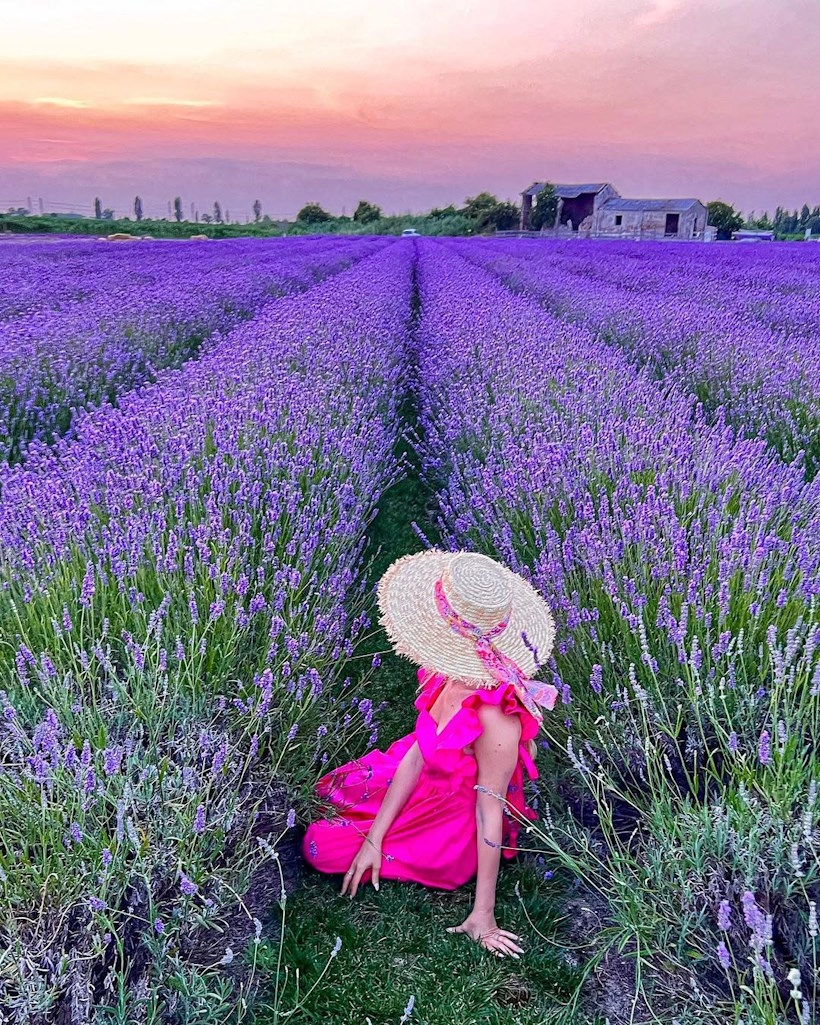 L'Oasi di Ca' Mello nel Parco Regionale Veneto del Delta del Po.