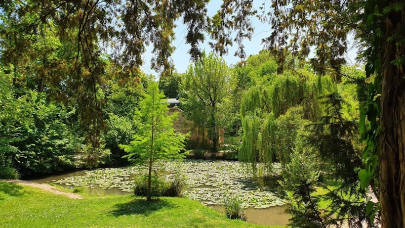 Parco degli Alberi Parlanti a Treviso. Seminari e corsi Reiki vicino Treviso a Dolo Venezia.