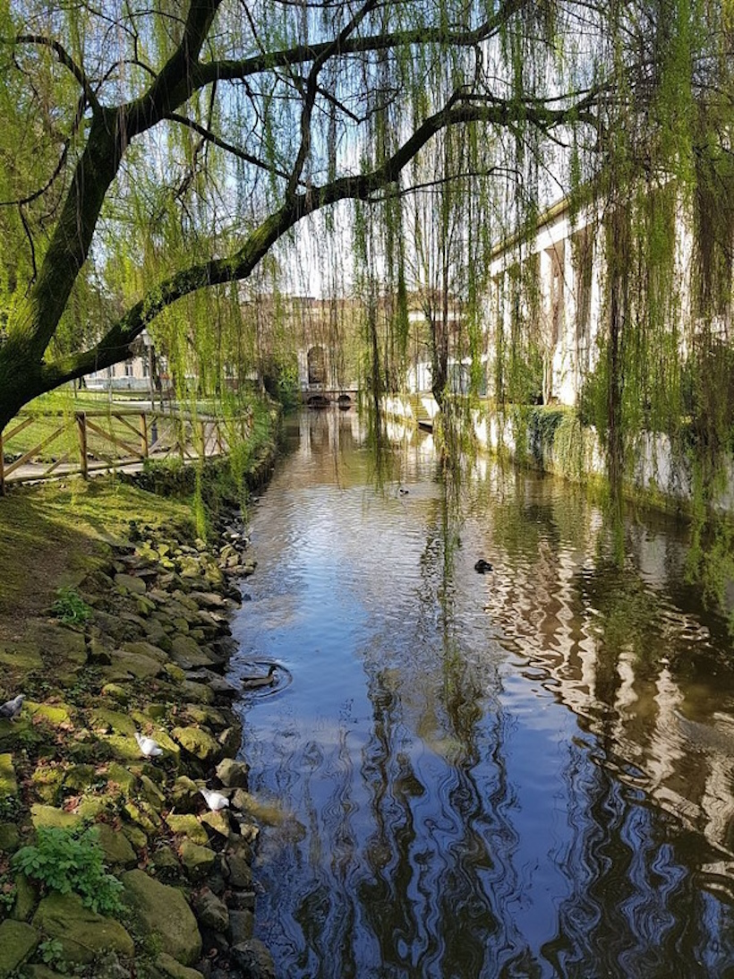 Luoghi memoriabili di Vicenza: Giardini Salvi. Dario Canil presenta corsi e seminari Reiki vicino ad Giardini Salvi, a Dolo (Venezia).