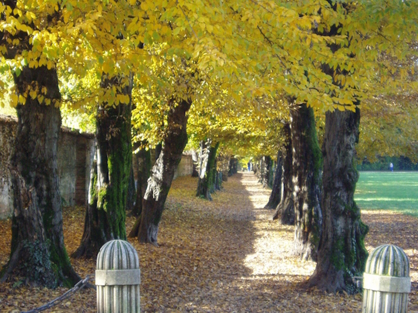 Viali alberati e grandi prati nel Parco Querini di Vicenza.
