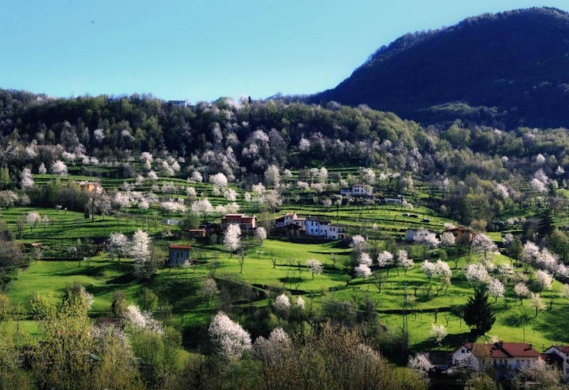 Il Parco delle Fonti e le montagne di Recoaro Terme nel Vicentino.