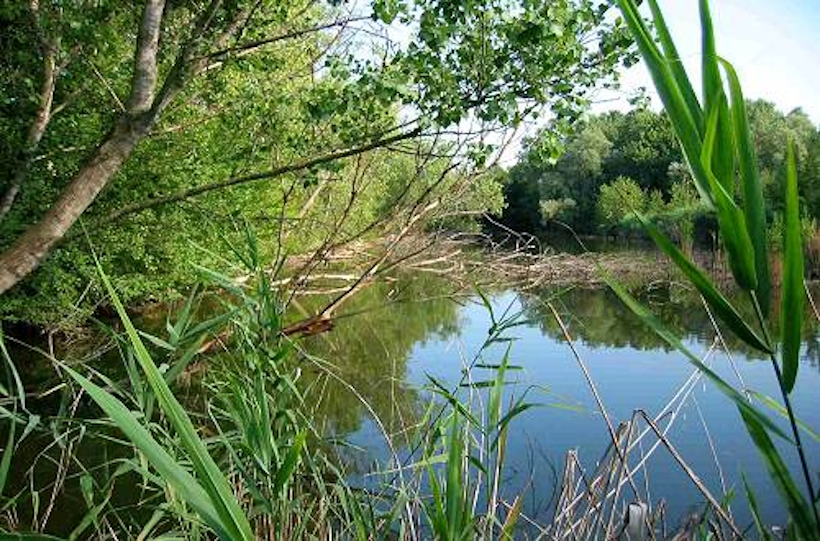 Percorsi naturalistici e osservazione della fauna presso gli Stagni di Casale a Vicenza.