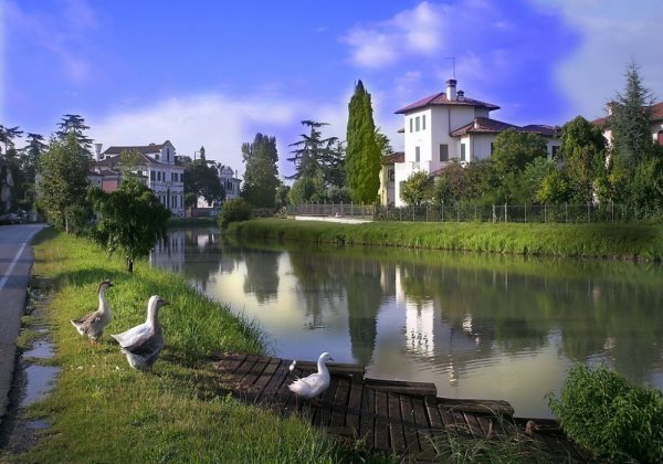 Dario Canil presenta corsi e seminari Reiki vicino a Mira, in Veneto, a Dolo (Venezia).