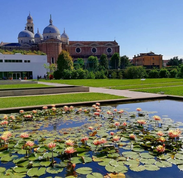 Dario Canil presenta corsi e seminari Reiki vicino a Padova, in Veneto, a Dolo (Venezia).