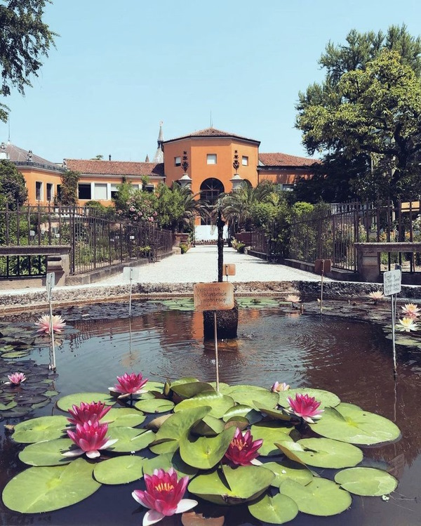 Dario Canil presenta i corsi e i seminari Reiki vicino a Padova, in Veneto.