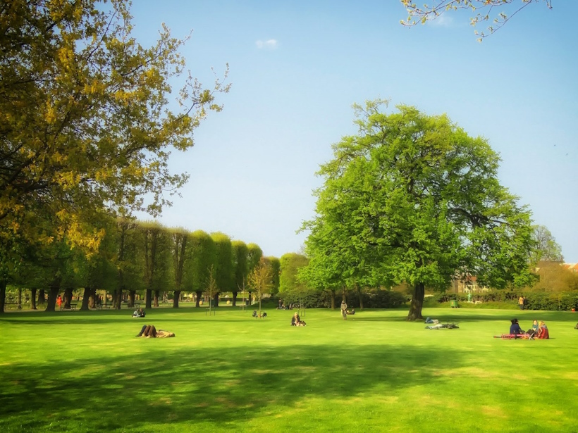 Dario Canil presenta i corsi e i seminari Reiki vicino al Parco Iris di Padova, uno dei più grandi del Veneto.