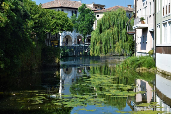 Dario Canil presenta corsi e seminari Reiki vicino a Sacile, in Veneto.
