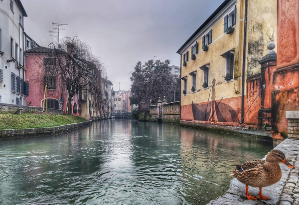 il Canale dei Buranelli a Treviso. Dario Canil e il Centro Olistico Tolteca presentano corsi e seminari Reiki a Dolo (Venezia), vicino a Treviso, in Veneto.