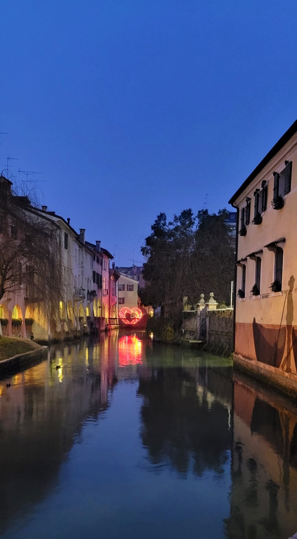 Dario Canil presenta i corsi e i seminari Reiki vicino a Treviso, in Veneto.