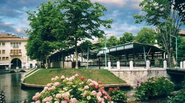 Dario Canil presenta i corsi e i seminari Reiki vicino a Treviso, in Veneto.