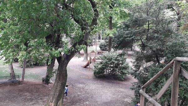 Parco degli Alberi Parlanti a Treviso. Dario Canil e il Centro Olistico Tolteca presentano corsi e seminari Reiki a Dolo (Venezia), vicino a Treviso, in Veneto.