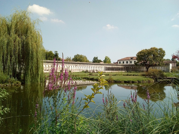 Dario Canil presenta i corsi e i seminari Reiki vicino a Treviso, in Veneto.