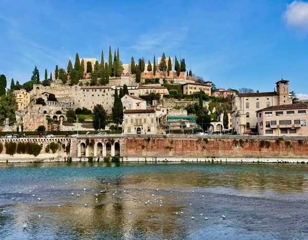 Dario Canil presenta corsi e seminari Reiki vicino a Verona, in Veneto, a Dolo (Venezia).