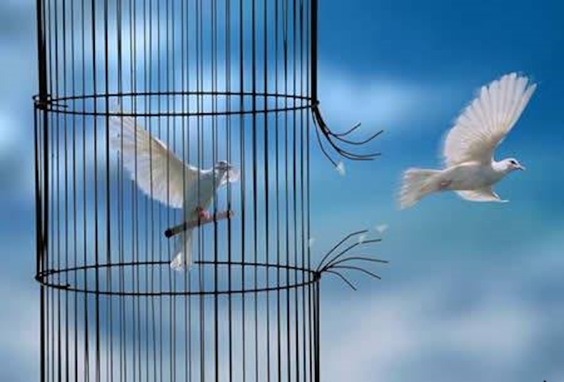 Hawayo Takata in una dimostrazione Reiki alle Hawaii nel 1939 con Hayashi. La vera storia del Reiki. Dario Canil conduce seminari e corsi di Sciamanismo e di Reiki vicino a Padova, Treviso, Venezia, Vicenza, Rovigo, Bassano del Grappa, Verona e Belluno. Reiki Master Dario Canil.