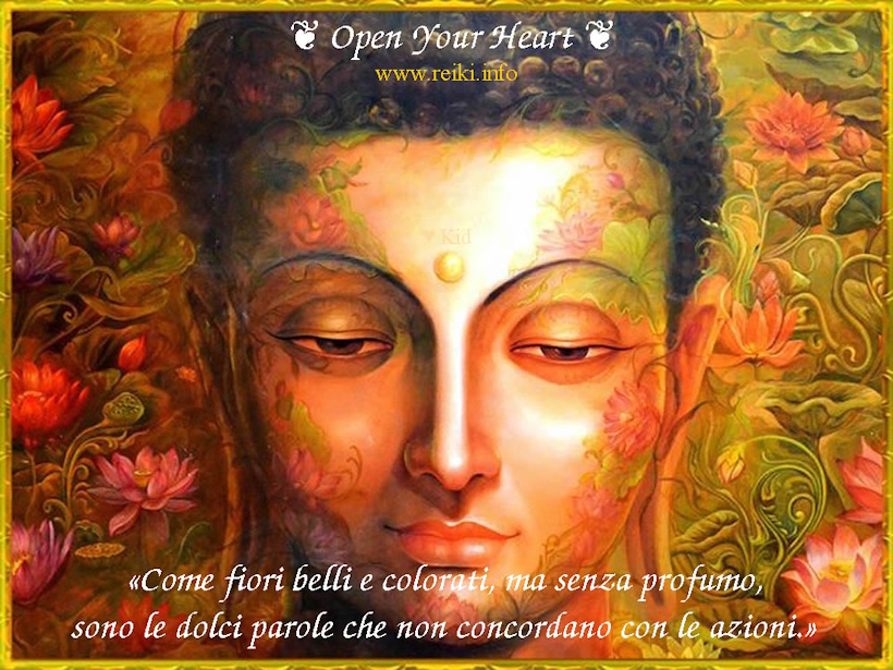 L'Usui Reiki Ryoho Gakkai. La vera storia del Reiki. Dario Canil conduce seminari e corsi di Sciamanismo e di Reiki vicino a Padova, Treviso, Venezia, Vicenza, Rovigo, Bassano del Grappa, Verona e Belluno. Reiki Master Dario Canil.